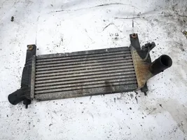 Nissan Pathfinder R51 Radiatore intercooler 14461eb360