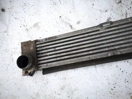 Mercedes-Benz Vito Viano W639 Intercooler radiator 