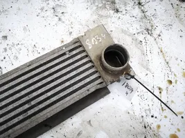 Mercedes-Benz Vito Viano W639 Intercooler radiator 