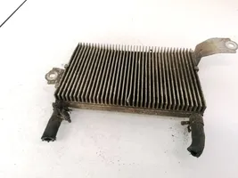 Toyota RAV 4 (XA30) Refroidisseur de carburant, radiateur 