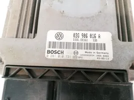 Volkswagen Touran I Sterownik / Moduł ECU 03G906016A