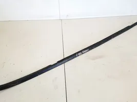 BMW 3 E46 Rear door glass trim molding 