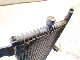 Nissan Pathfinder R51 Radiatore del carburatore (radiatore) 