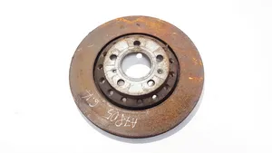 Volkswagen Phaeton Rear brake disc ventiliuojamas