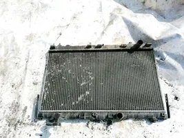 Hyundai Santa Fe Coolant radiator 