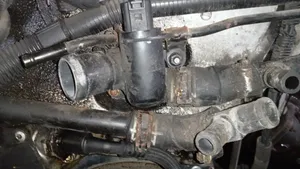 Volkswagen Jetta V Engine coolant pipe/hose 