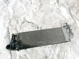 Renault Megane II Chłodnica powietrza doładowującego / Intercooler 8200700172