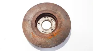 Hyundai ix 55 Front brake disc ventiliuojamas