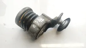 Volkswagen Fox Generator/alternator belt tensioner 03E903133A