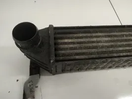 Seat Alhambra (Mk1) Interkūlerio radiatorius 