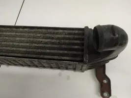 Seat Alhambra (Mk1) Intercooler radiator 