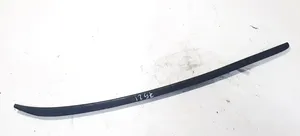 Audi A6 S6 C6 4F Front door glass trim molding 