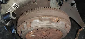 Alfa Romeo 156 Sprzęgło / Komplet PLAUKIOJANTI