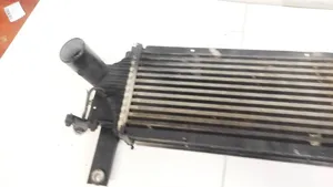 Nissan Pathfinder R51 Chłodnica powietrza doładowującego / Intercooler 14461EB360