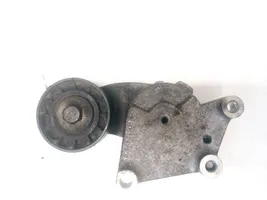 Volvo V60 Napinacz paska alternatora 3081401