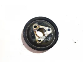 Fiat Doblo Power steering pump pulley 