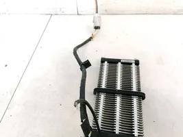 Nissan Pathfinder R51 Radiateur électrique de chauffage auxiliaire VP5NFH18K463A