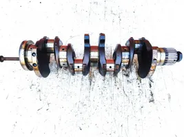 Renault Master I Crankshaft 