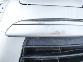 Volkswagen Golf V Modanatura separatore del paraurti anteriore 