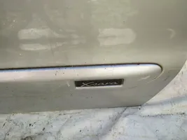 Citroen Xsara Rivestimento della portiera anteriore (modanatura) 