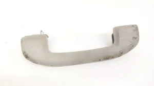 Nissan Pathfinder R51 Front interior roof grab handle 