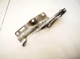 Mercedes-Benz CLC CL203 Engine bonnet/hood hinges 