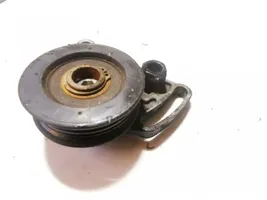 Volkswagen PASSAT B5 Napinacz paska alternatora 058260511