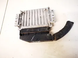 Chevrolet Kalos Dzinēja vadības bloks 96376653