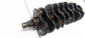 Fiat Punto (188) Crankshaft 