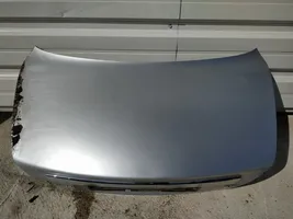 Jaguar X-Type Galinis dangtis (bagažinės) pilkas