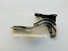 Honda Accord Engine bonnet/hood hinges 