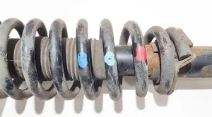 Honda Accord Front coil spring 