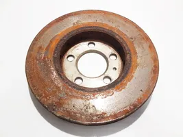 Volkswagen Fox Front brake disc ventiliuojamas