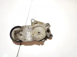 Citroen Berlingo Napinacz paska alternatora tf049f