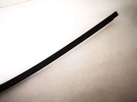 BMW 5 E39 Rear door glass trim molding 