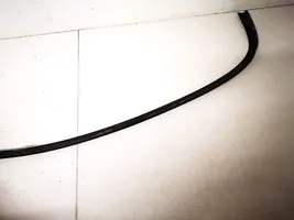 BMW 5 E39 Rear door glass trim molding 