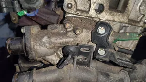 Peugeot 206 Tuyau de liquide de refroidissement moteur 9646977280