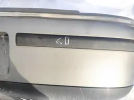 Seat Leon (1M) Modanatura della barra di rivestimento del paraurti anteriore 