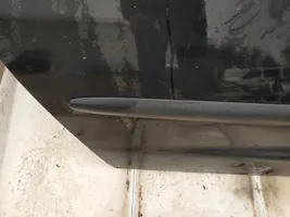 Ford Galaxy Listón embellecedor de la puerta delantera (moldura) 