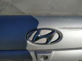 Hyundai Elantra Gamintojo ženkliukas 