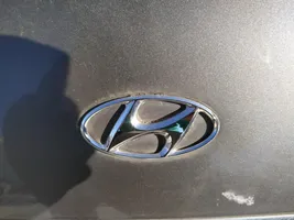 Hyundai Sonata Gamintojo ženkliukas 