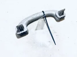 Ford Focus Front interior roof grab handle 