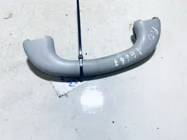 Ford Focus Front interior roof grab handle 