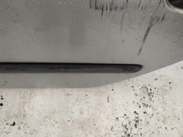Renault Laguna I Aizmugurē durvju dekoratīvā apdare (moldings) 