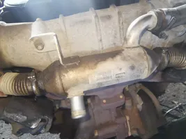 Citroen Xsara Chłodnica spalin EGR 9627242880