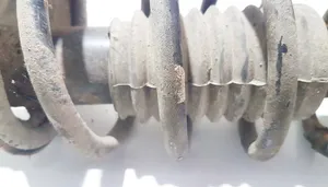 Daihatsu Terios Front coil spring 