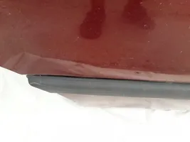 Volkswagen Vento Rivestimento portiera posteriore (modanatura) 