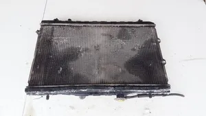 KIA Cerato Coolant radiator LDLH26