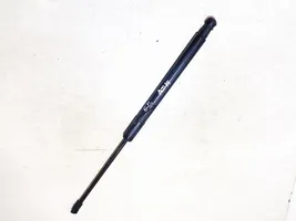 Toyota Yaris Tailgate/trunk strut/damper 689500d200