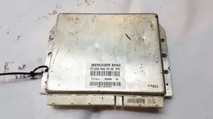 Mercedes-Benz S W220 Sterownik / Moduł ECU 2205450532